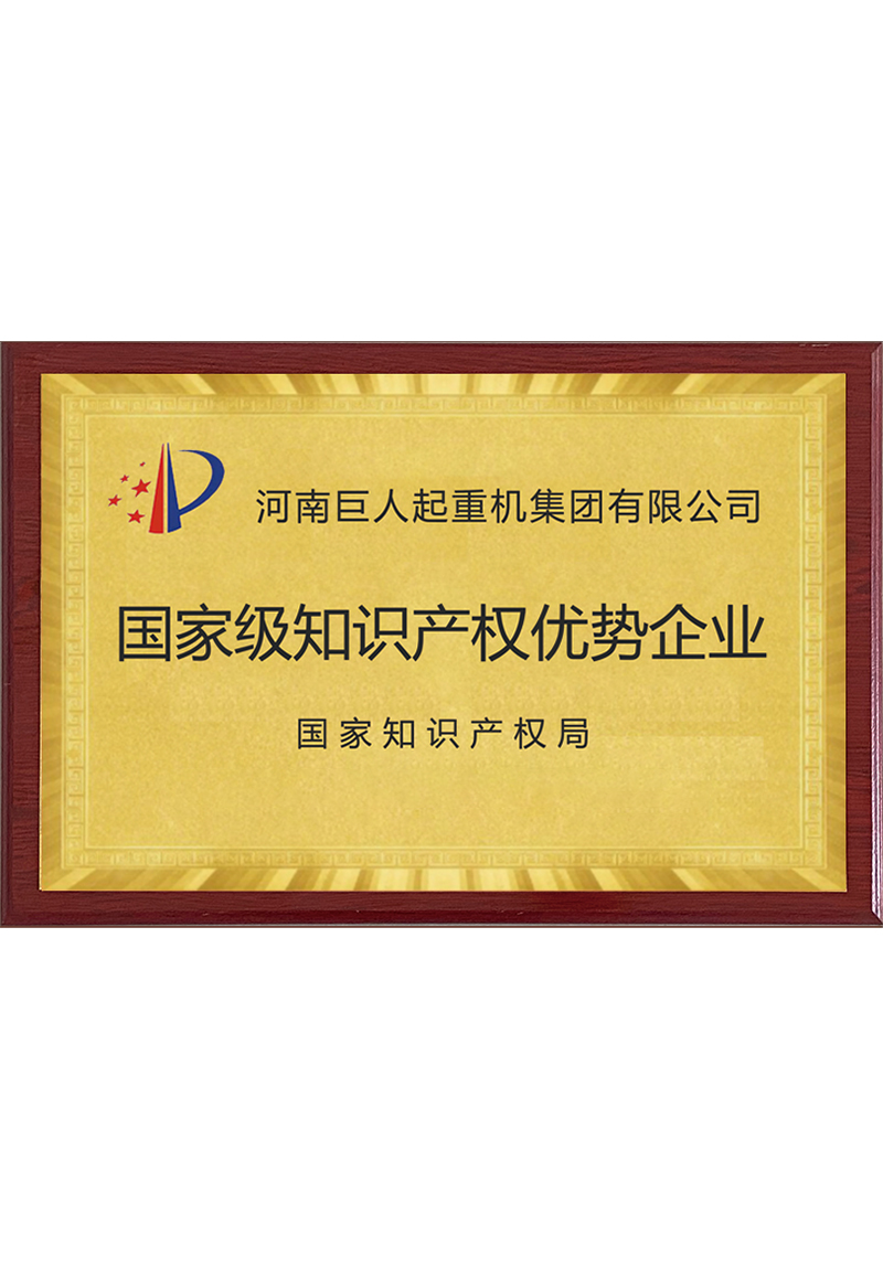 國(guó)家級(jí)知識(shí)產(chǎn)權(quán)優(yōu)勢(shì)企業(yè)