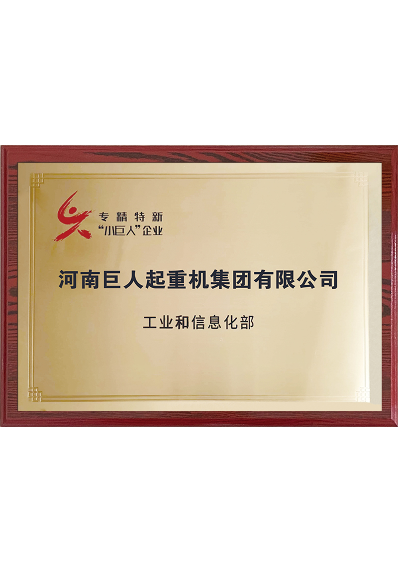 國(guó)家級(jí)專精特新小巨人企業(yè)